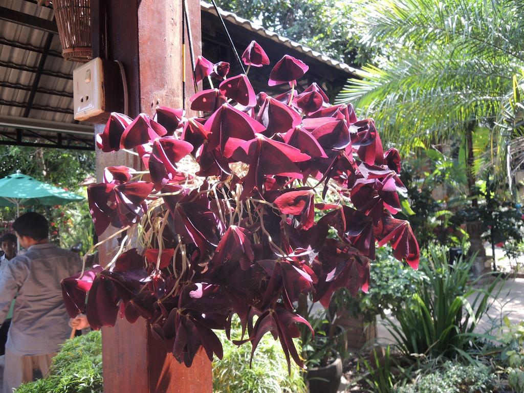 Elephant Blanc Phnom Pen Exterior foto